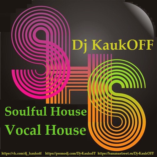 Хаус вокал лучшее. Vocal House. Soulful House фото. Everything House Soul.