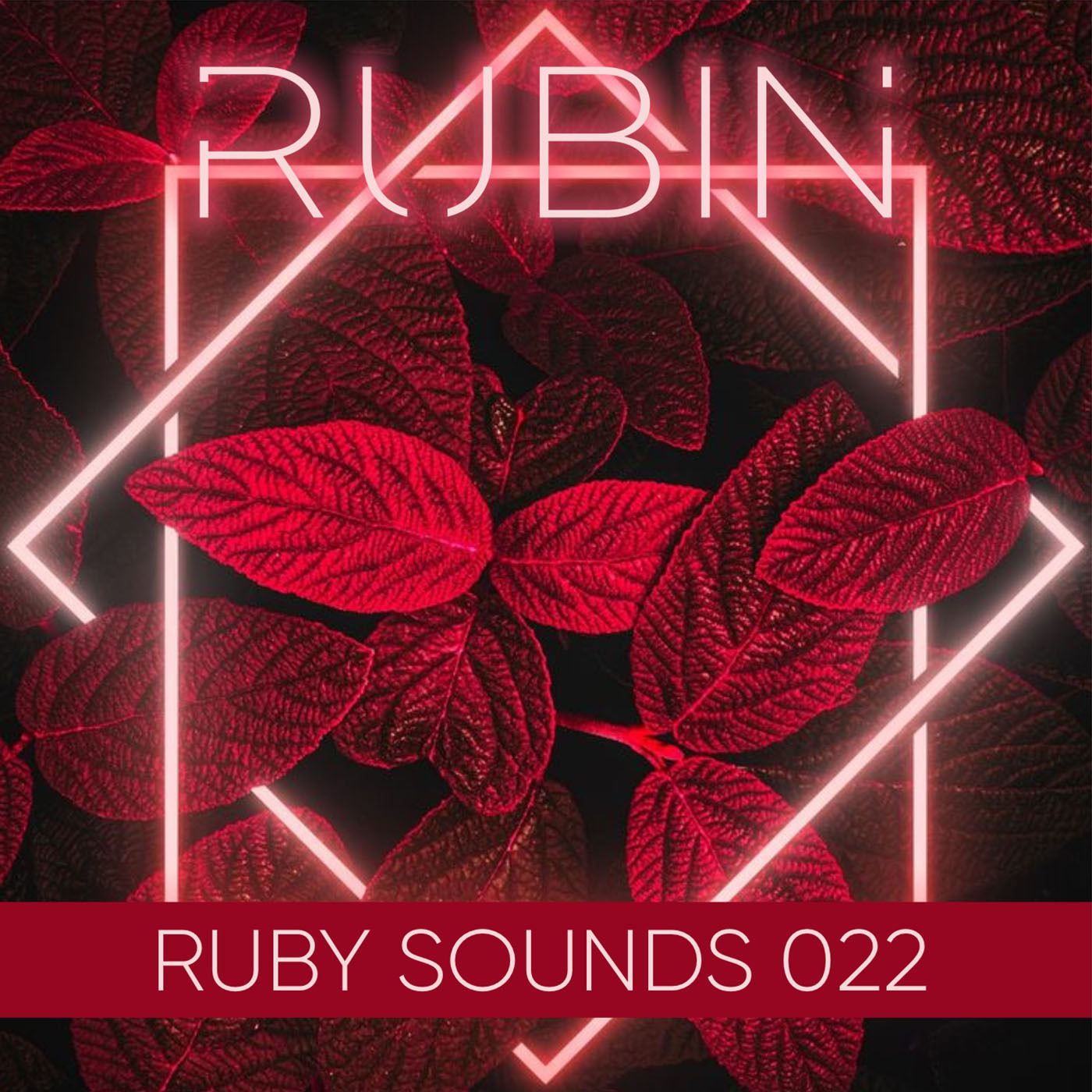 Песня рубин. DJ Rubin. Рубин музыка. DJ Rubin - Ruby Sounds #30. Рубин песня.