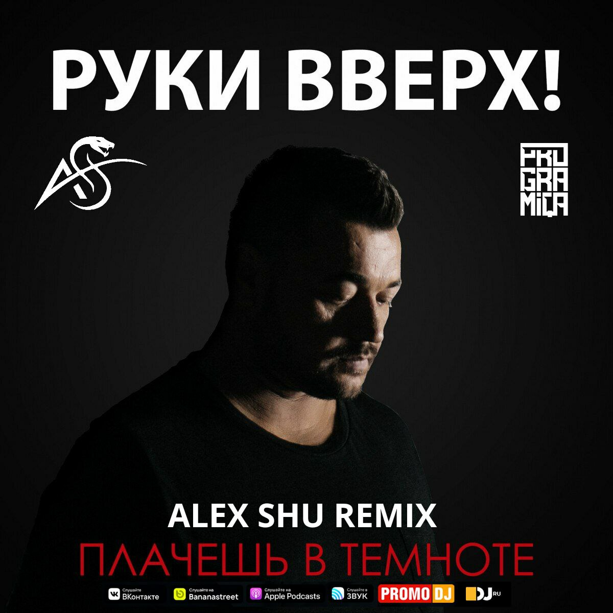 Dj alex shu. Руки вверх ты плачешь в темноте.